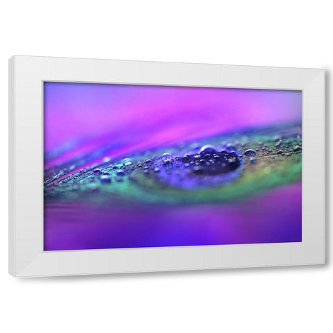 Peacock Diamonds White Modern Wood Framed Art Print by Jenny Rainbow Fine Art