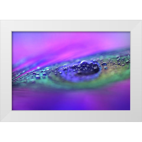 Peacock Diamonds White Modern Wood Framed Art Print by Jenny Rainbow Fine Art