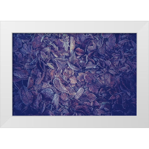 Purple Carpet of Frozen Leaves White Modern Wood Framed Art Print by Jenny Rainbow Fine Art
