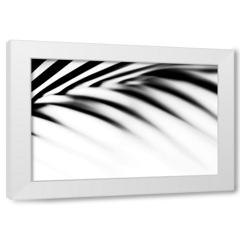 Shadow Palm Leaf White Modern Wood Framed Art Print by Jenny Rainbow Fine Art