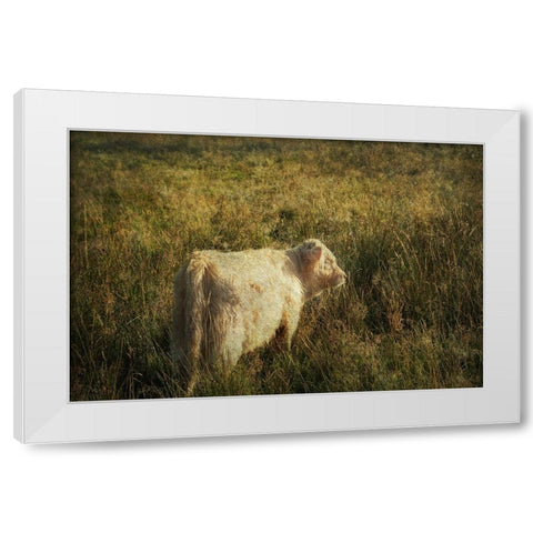 Furry Baby of Highland Cow White Modern Wood Framed Art Print by Jenny Rainbow Fine Art