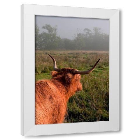 Highland Cow White Modern Wood Framed Art Print by Jenny Rainbow Fine Art