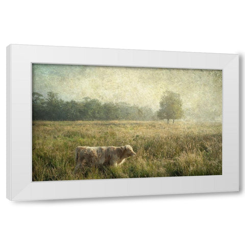 Little Highlander White Modern Wood Framed Art Print by Jenny Rainbow Fine Art
