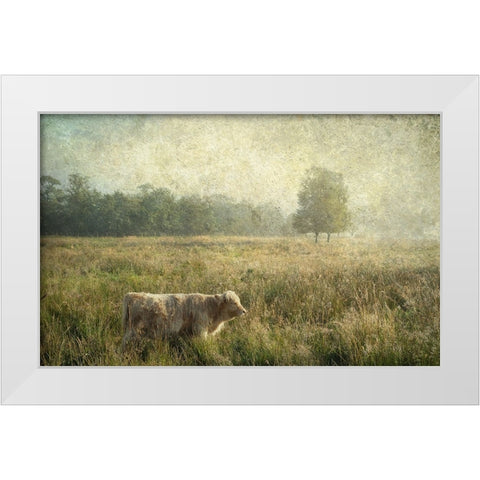 Little Highlander White Modern Wood Framed Art Print by Jenny Rainbow Fine Art