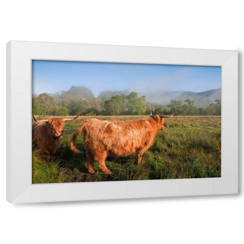 Rural Idyll White Modern Wood Framed Art Print by Jenny Rainbow Fine Art