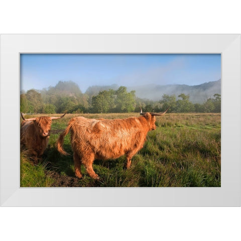 Rural Idyll White Modern Wood Framed Art Print by Jenny Rainbow Fine Art