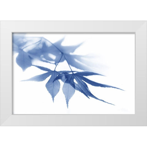 Blue Leaves 1 White Modern Wood Framed Art Print by Schell, Jennie Marie