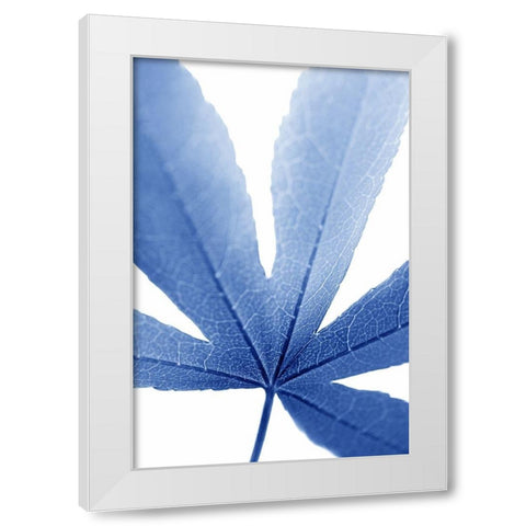 Blue Leaves 2 White Modern Wood Framed Art Print by Schell, Jennie Marie
