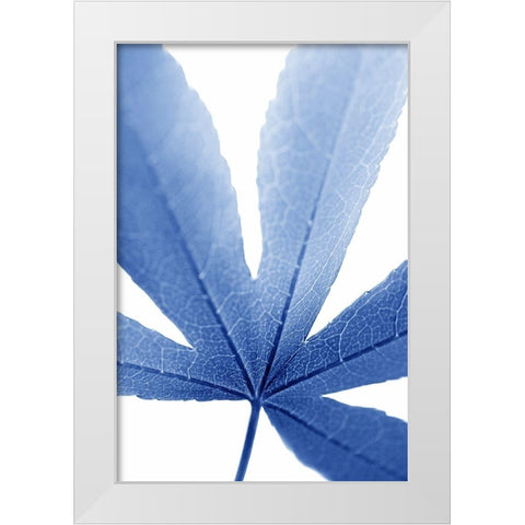 Blue Leaves 2 White Modern Wood Framed Art Print by Schell, Jennie Marie