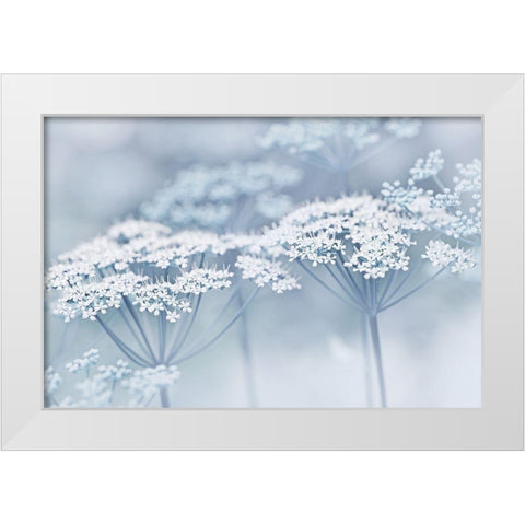 Blue Wildflowers White Modern Wood Framed Art Print by Schell, Jennie Marie