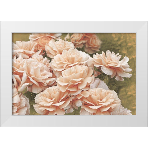 Rose Orange 3 White Modern Wood Framed Art Print by Schell, Jennie Marie