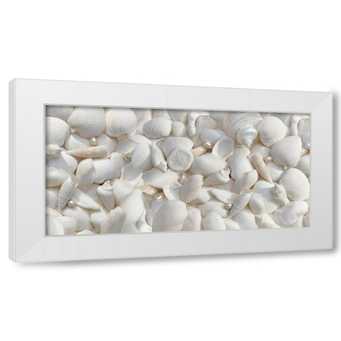 Seashells 2 White Modern Wood Framed Art Print by Schell, Jennie Marie