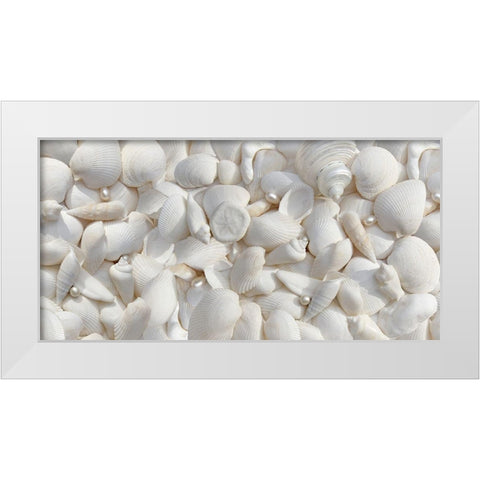 Seashells 2 White Modern Wood Framed Art Print by Schell, Jennie Marie