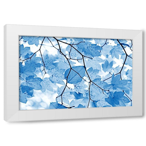 Blue Leaves 4 White Modern Wood Framed Art Print by Schell, Jennie Marie