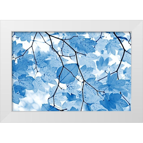 Blue Leaves 4 White Modern Wood Framed Art Print by Schell, Jennie Marie