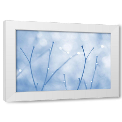 Blue Twigs Abstract White Modern Wood Framed Art Print by Schell, Jennie Marie