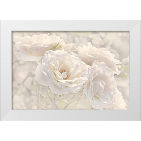 Rose White Ivory 9 White Modern Wood Framed Art Print by Schell, Jennie Marie