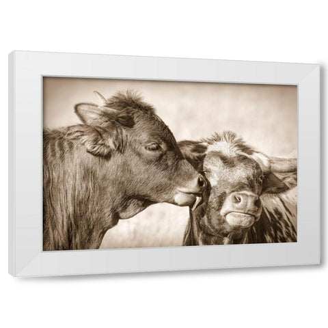 Calf Kiss Sepia White Modern Wood Framed Art Print by Schell, Jennie Marie