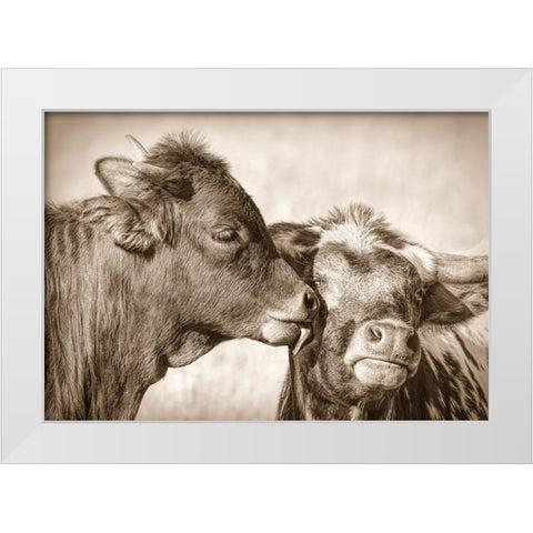 Calf Kiss Sepia White Modern Wood Framed Art Print by Schell, Jennie Marie