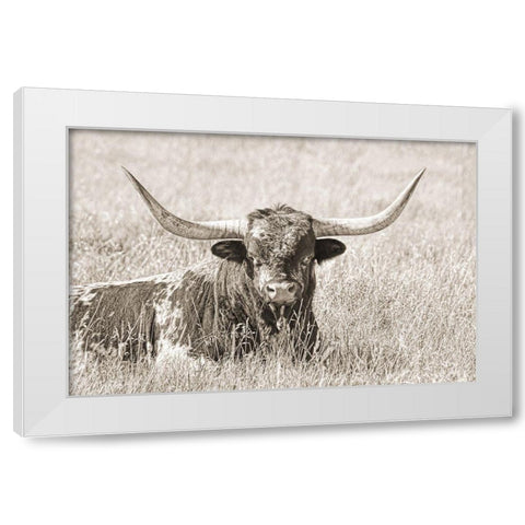 Longhorn Bull Sepia White Modern Wood Framed Art Print by Schell, Jennie Marie