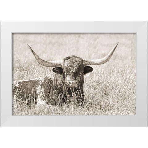 Longhorn Bull Sepia White Modern Wood Framed Art Print by Schell, Jennie Marie