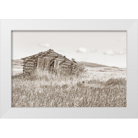 Old Log Cabin Sepia White Modern Wood Framed Art Print by Schell, Jennie Marie