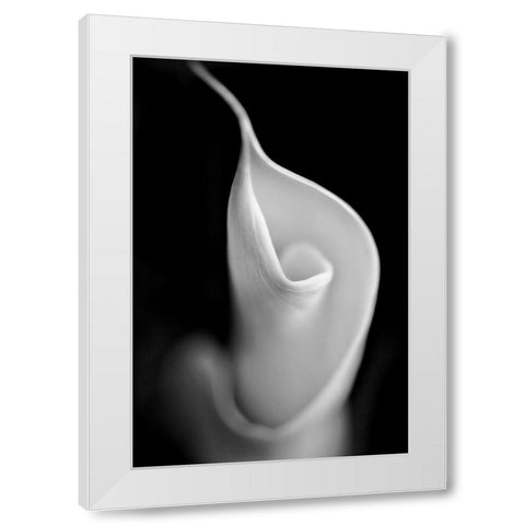 Calla Lily Flower Macro Black and White White Modern Wood Framed Art Print by Schell, Jennie Marie