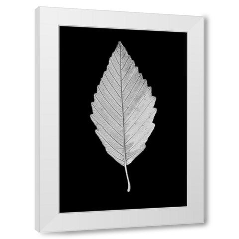 Leaf Black and White 2 White Modern Wood Framed Art Print by Schell, Jennie Marie