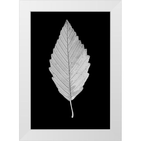 Leaf Black and White 2 White Modern Wood Framed Art Print by Schell, Jennie Marie
