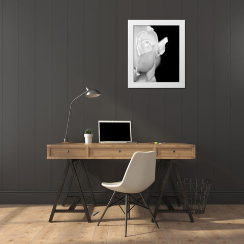 Rose Flower Macro Black and White 2 White Modern Wood Framed Art Print by Schell, Jennie Marie