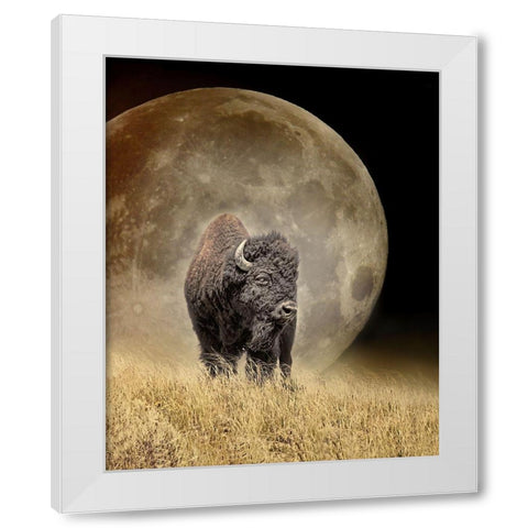 Buffalo Bison and Moon White Modern Wood Framed Art Print by Schell, Jennie Marie