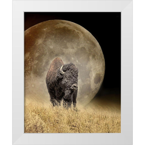Buffalo Bison and Moon White Modern Wood Framed Art Print by Schell, Jennie Marie