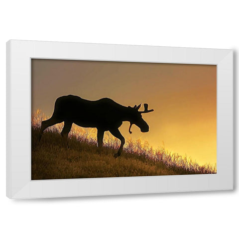 Moose Walking Silhouette White Modern Wood Framed Art Print by Schell, Jennie Marie