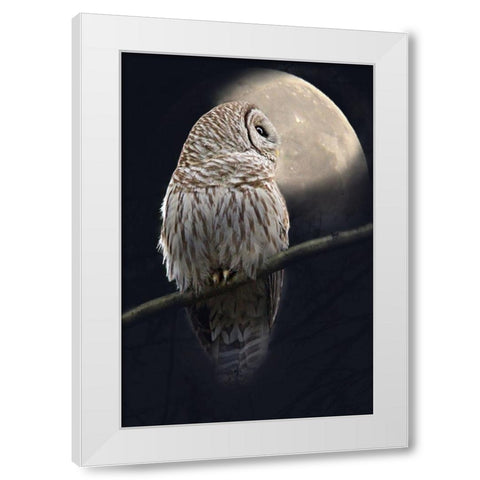 Owl and Moon White Modern Wood Framed Art Print by Schell, Jennie Marie