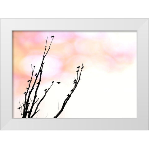 Tree Silhouette and Birds White Modern Wood Framed Art Print by Schell, Jennie Marie