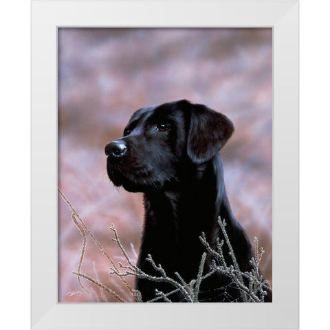 Js75-B White Modern Wood Framed Art Print by Silver, John