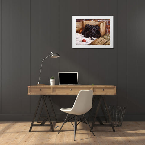 Js67-A White Modern Wood Framed Art Print by Silver, John