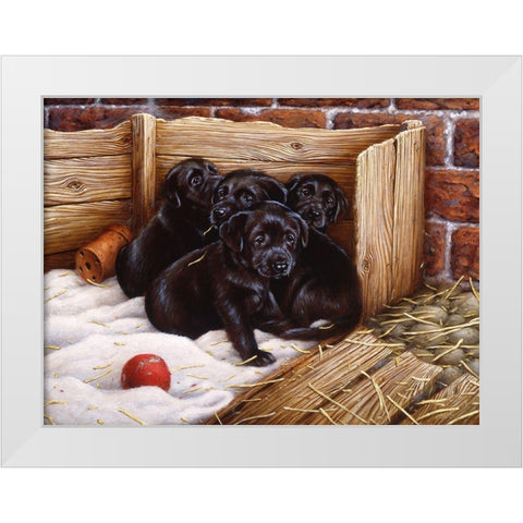 Js67-A White Modern Wood Framed Art Print by Silver, John