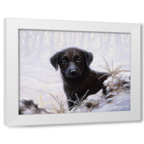 Js64-A White Modern Wood Framed Art Print by Silver, John