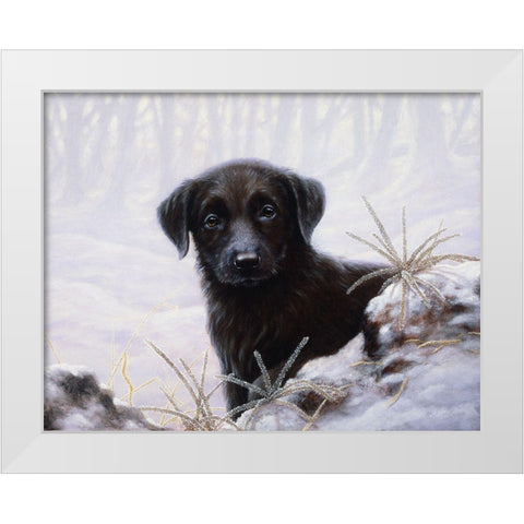 Js64-A White Modern Wood Framed Art Print by Silver, John