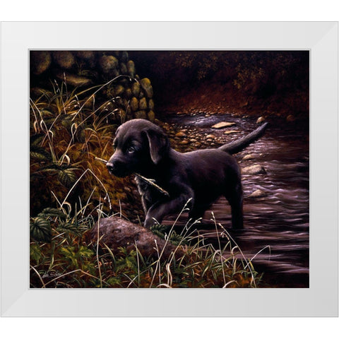 Js23-B White Modern Wood Framed Art Print by Silver, John