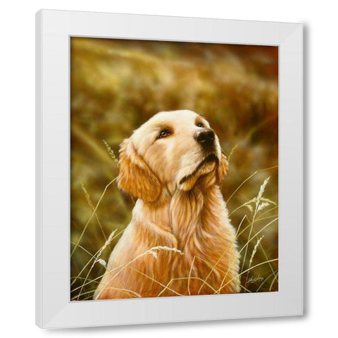 Js69-B White Modern Wood Framed Art Print by Silver, John