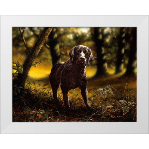 Js6-B White Modern Wood Framed Art Print by Silver, John