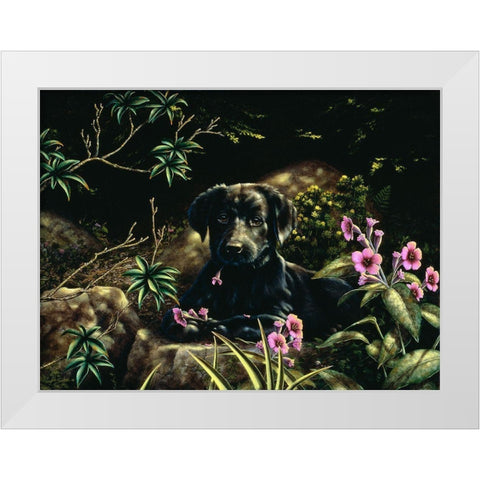 Js14-D White Modern Wood Framed Art Print by Silver, John