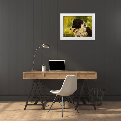 1 White Modern Wood Framed Art Print by Silver, John