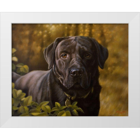 19 White Modern Wood Framed Art Print by Silver, John