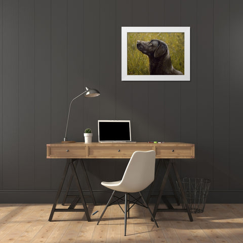 D066 White Modern Wood Framed Art Print by Silver, John
