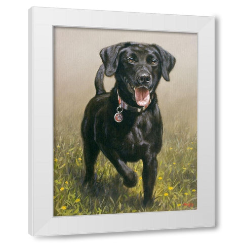263b White Modern Wood Framed Art Print by Silver, John