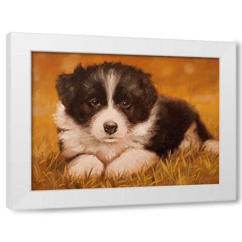 308 White Modern Wood Framed Art Print by Silver, John