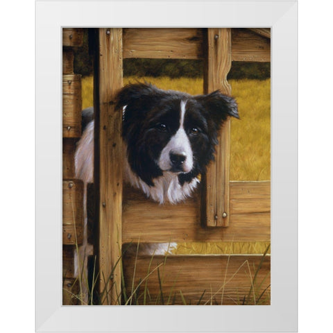 Jsm1-B White Modern Wood Framed Art Print by Silver, John